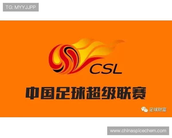 中超联赛在竞彩足球平台的竞猜方式与投注规则