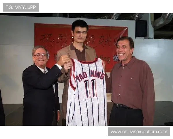 姚明在火箭队期间与莫布利的队友关系分析