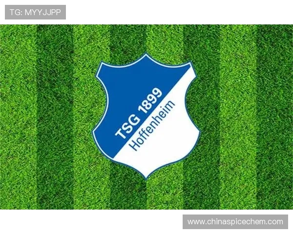 德甲球队队徽与全称对照表(图文汇总)