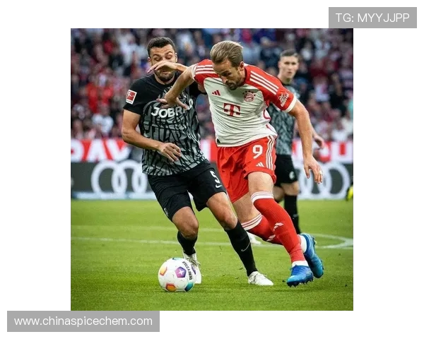 德甲联赛历史上最后损失的球队及原因